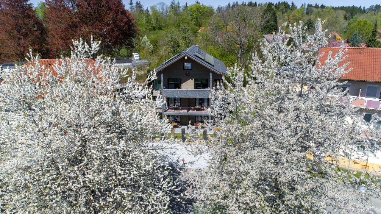Invita Natur-Chalets Penthouse - Familienurlaub Im Schwarzwald - 240Qm Bad Dürrheim Zewnętrze zdjęcie